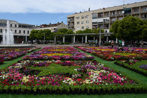 Prvi cvjetni tepih u Crnoj Gori na Trgu nezavisnosti u Podgorici