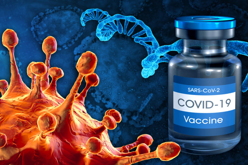 Ilustracija, Foto: Shutterstock