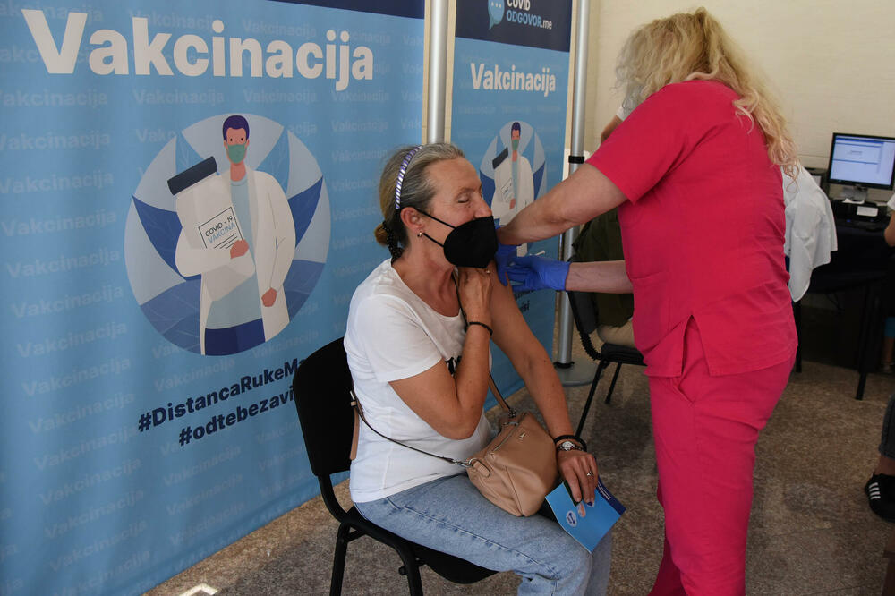 Ilustracija, Foto: Luka Zeković