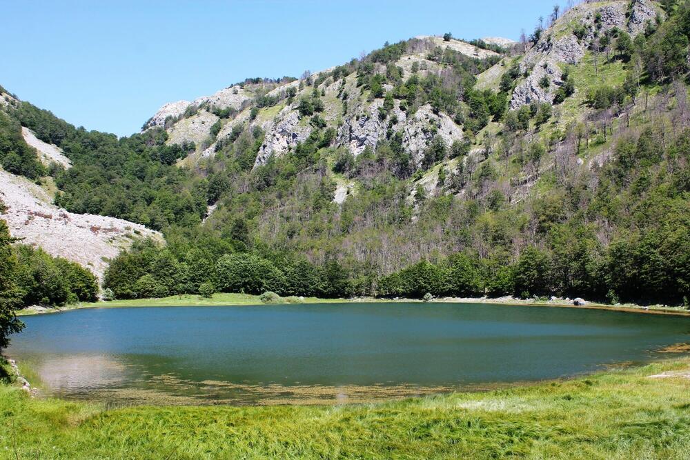 Foto: Jasna Gajević