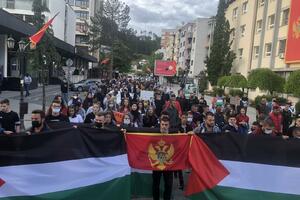 Protest podrške Palestini u Bijelom Polju