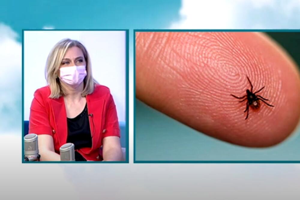 Boje jutra- dr Ivana Savović Đuković, Foto: Printscreen YouTube