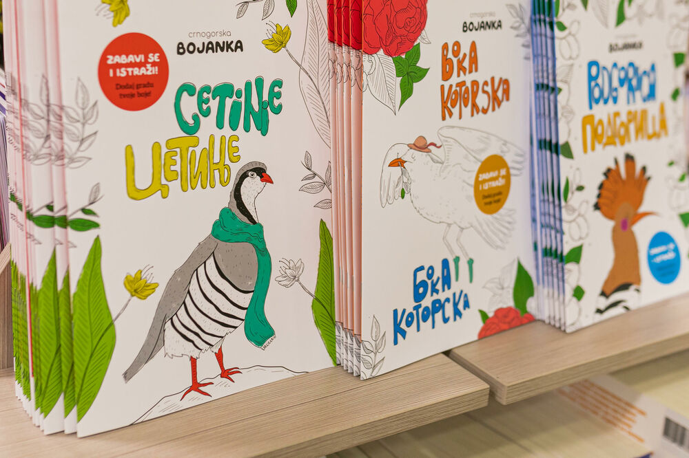 Tema bojanki su Podgorica, Cetinje i Boka, Foto: Igor Milić