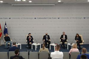 Krivokapić: Nezavisnost je u ovih 15 godina egal privatnoj državi