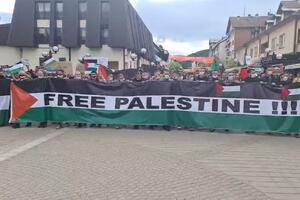 Skup podrške Palestini u Rožajama