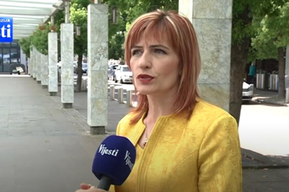 Simović Zvicer, Foto: Screenshot/TV Vijesti