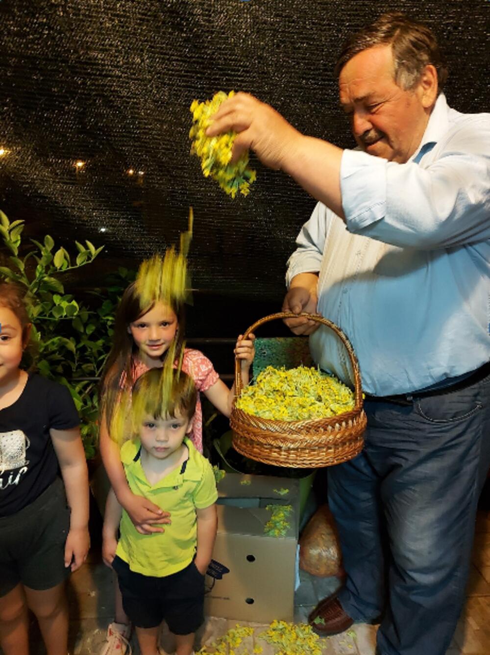 institut za zdravu hranu