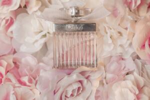 Najpopularniji parfemi ove godine: Izbjegnite grešku pri kupovini