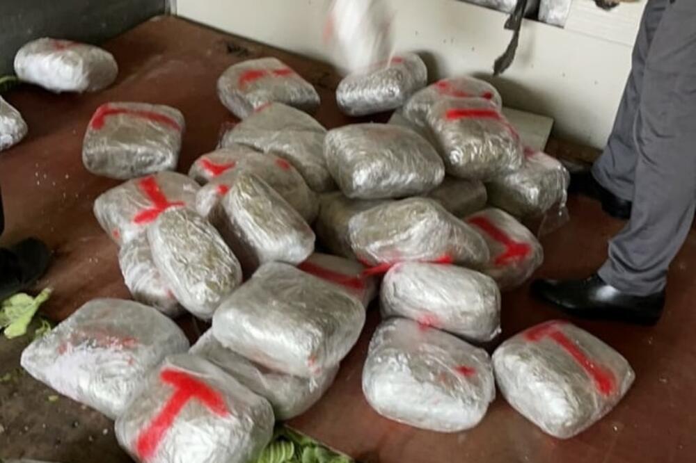 Marihuana pronađena u kamionu 5. marta, Foto: Uprava policije