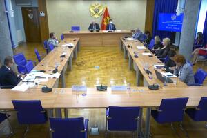 Odbor za ekonomiju sjutra o amandmanima na budžet