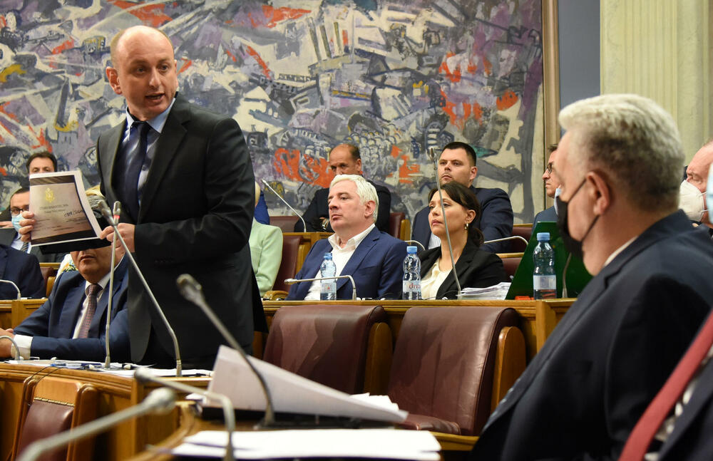 Knežević - Krivokapić