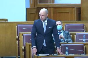 Radulović: Postavljenje ambasadora usaglašavano na konsultacijama,...