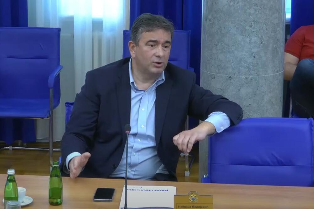 Medojević na sjednici Odbora, Foto: Skupština Crne Gore