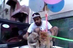 Indija: Jutjuber uhapšen jer je zakačio balone za psa kako bi letio