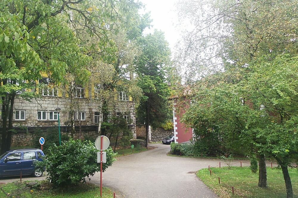 Foto: Svetlana Mandić