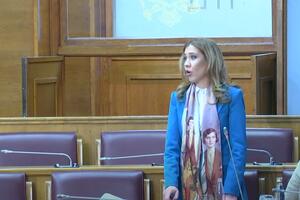 Bratić: Izbor direktora javnih ustanova biće realizovan u...