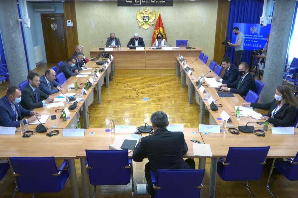 Sa sjednice Odbora za ljudska prava i slobode, Foto: Printscreen YouTube