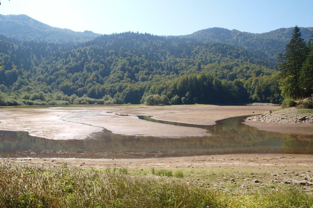 Foto: NP Biogradska gora