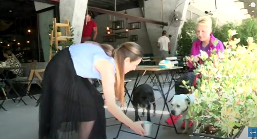 Boje jutra,  Zorana Đuković