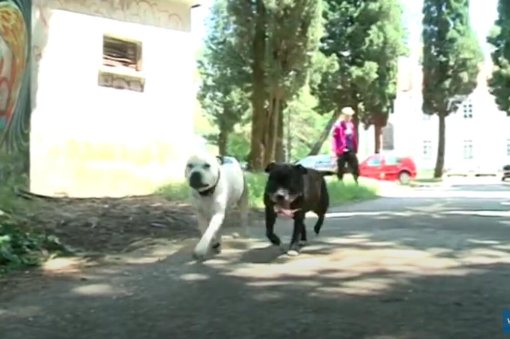 Boje jutra, Foto: Printscreen YouTube