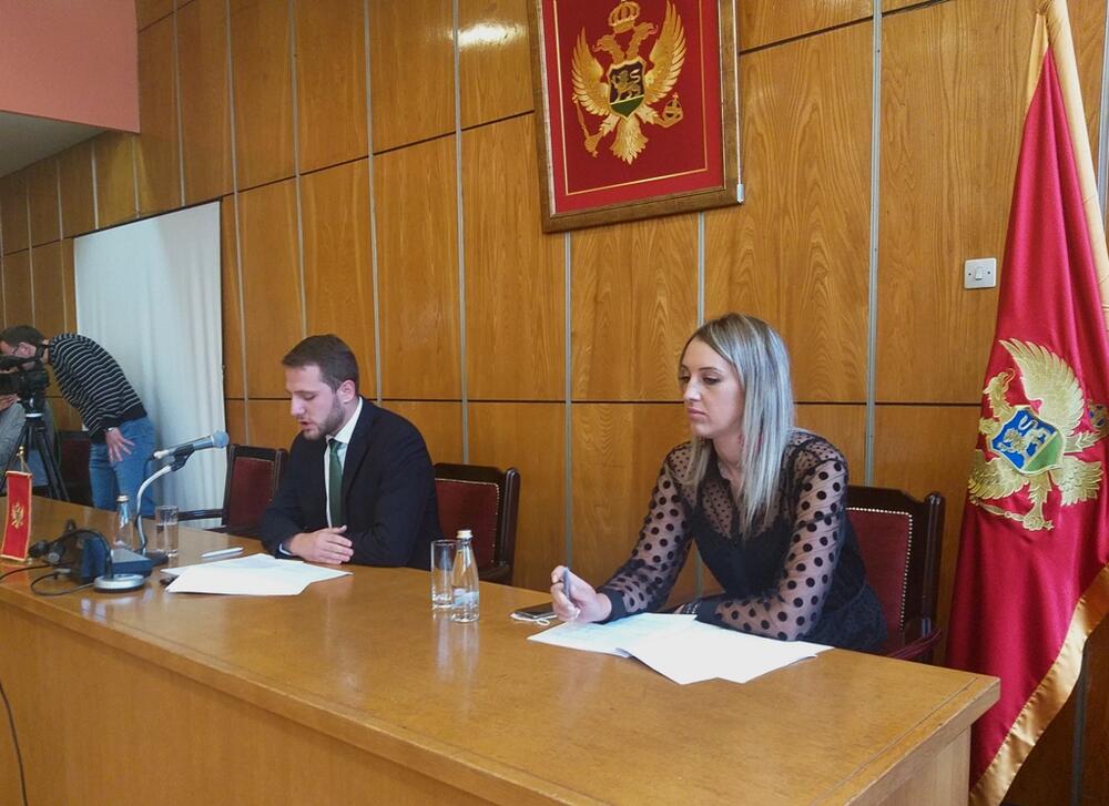<p>Šljukić je diplomirana pravnica koja je bila radno angažovana u Ministarstvu unutrašnjih poslova – Područna jedinica Nikšić, advokatskoj kancelariji "Šljukić" i Ministarstvu poljoprivrede, šumarstva i vodoprivrede</p>