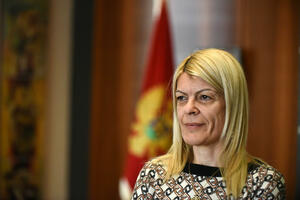 Damjanović: Odluka o osnivanju Fonda za inovacije bila spremna,...