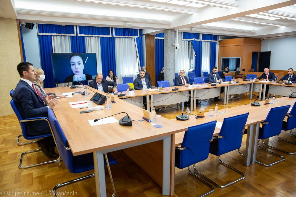 Foto: Skupština.me/Igor Šljivančanin