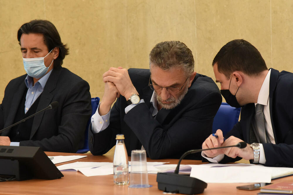 Detalj sa Odbora za izborno zakonodavstvo (arhiva), Foto: Luka Zeković