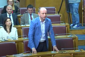 Knežević: Veći dio parlamentarne većine proglasio srpski narod za...