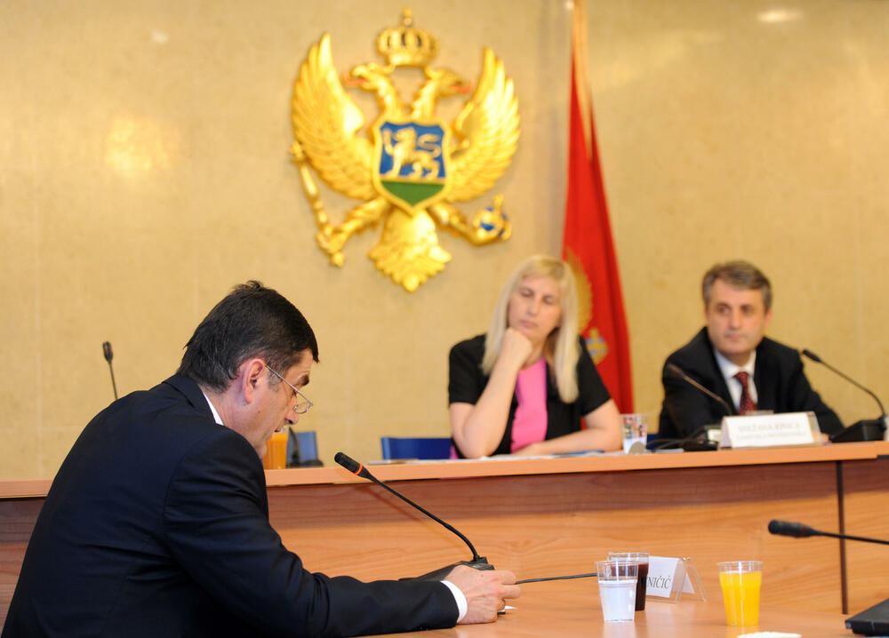 Saslušanje Dejana Peruničića: Jonica i Mevludin Nuhodžić (arhiva) 