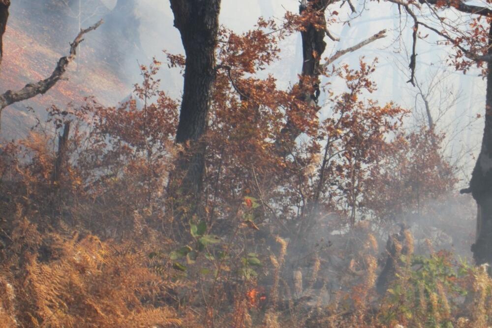 Foto: Arhiva Vijesti