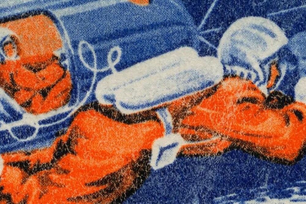 Foto: Universal History Archive/Getty Images