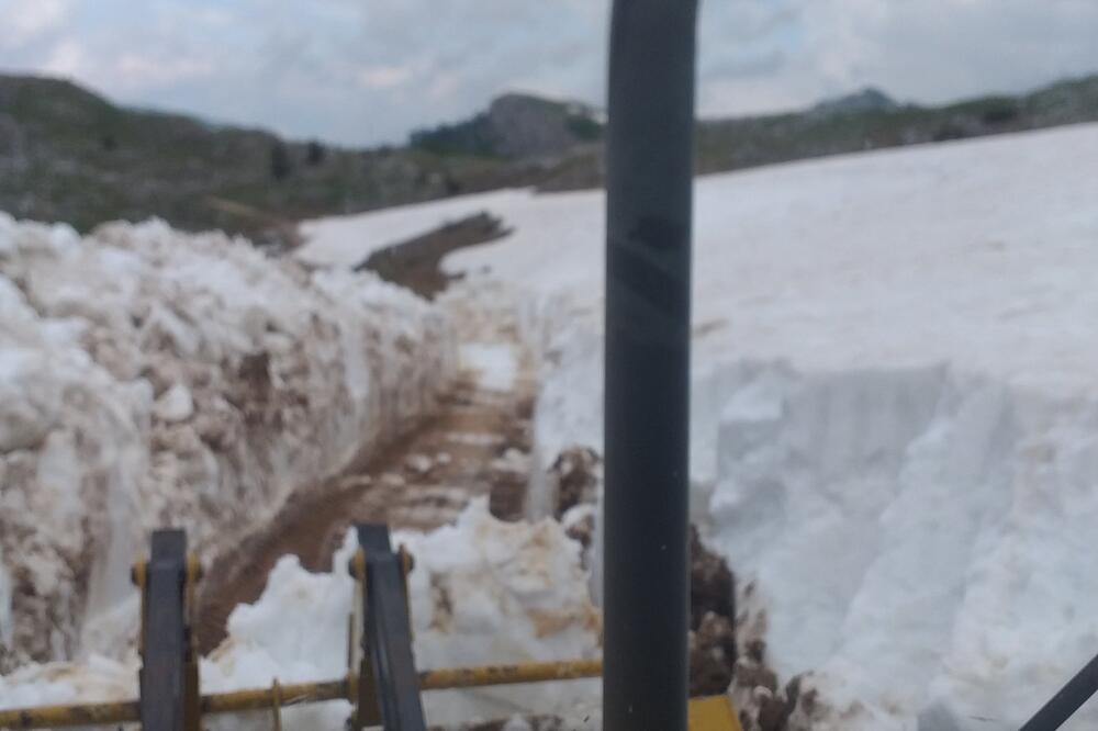 Foto: Privatna arhiva