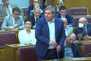 Radunović: Imamo dovoljno poslanika da izaberemo novu Vladu