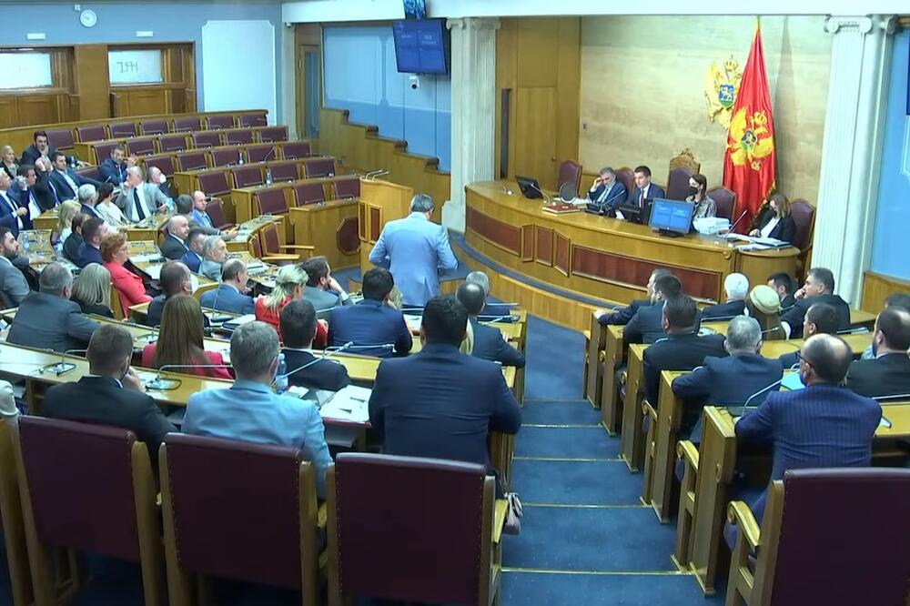 Detalj iz Skupštine Crne Gore, Foto: Screenshot