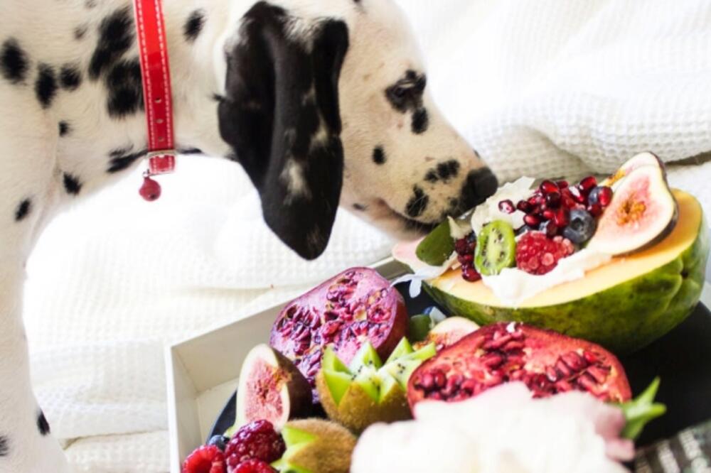 Ilustracija, Foto: cuko.me