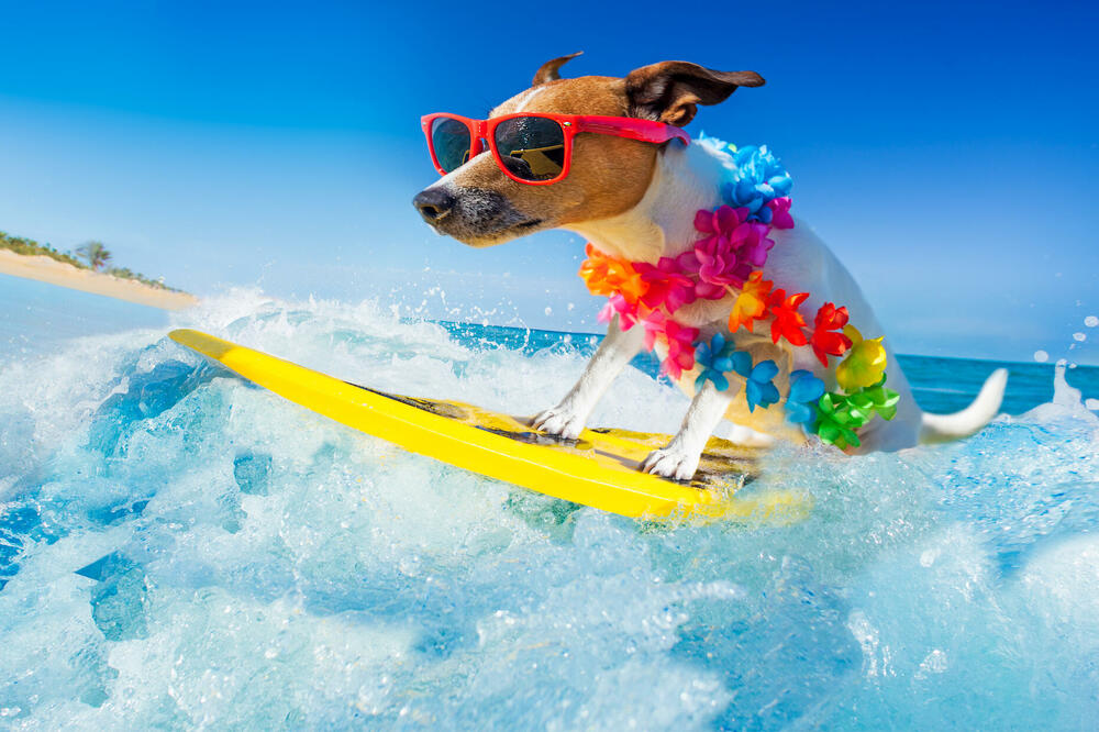 Ilustracija, Foto: Shutterstock