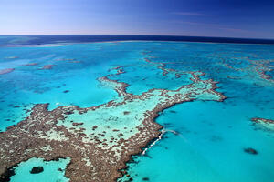 UNESCO wants to include the coral reef near Australia in the endangered...