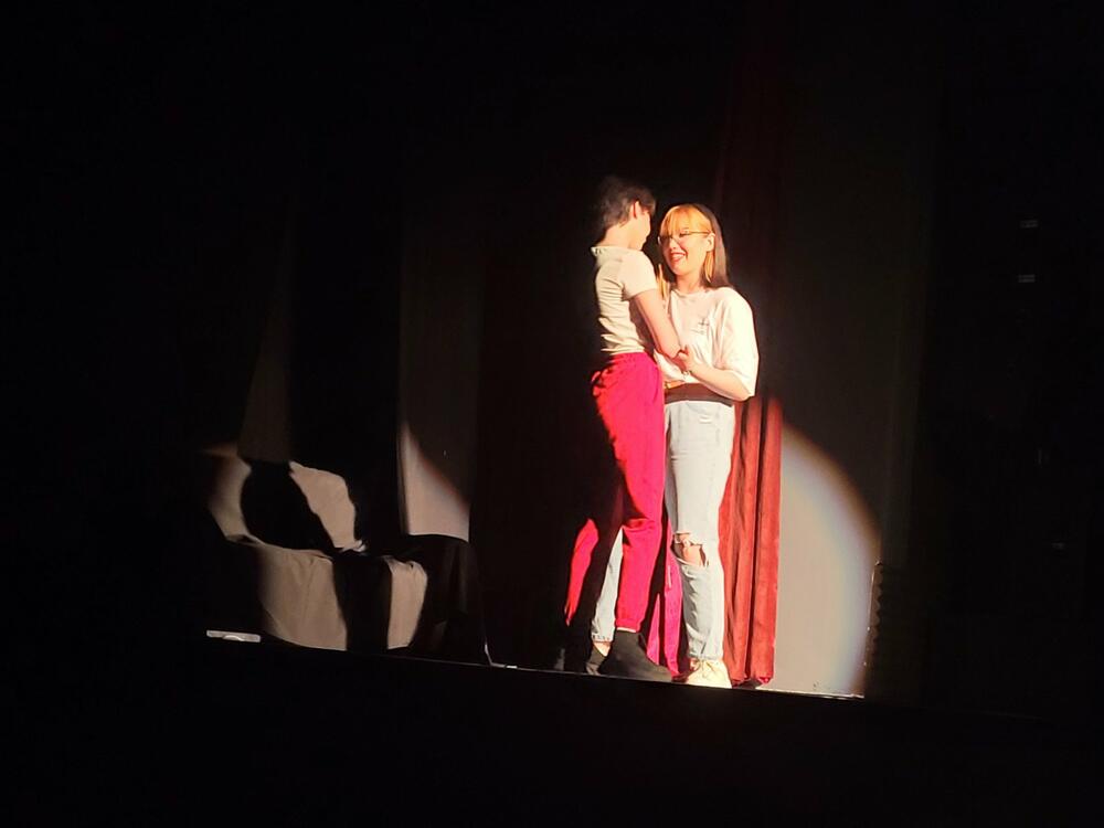 <p>"Od više ponuđenih tekstova moji omadinci su sami izabrali baš ovaj, smatrajući da je ovo svojevrsna misija kako bi smo gledaocima mogli prikazati nešto što se dešava oko nas&rdquo;</p>