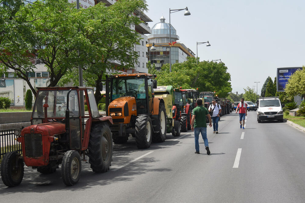 Foto: Savo Prelević