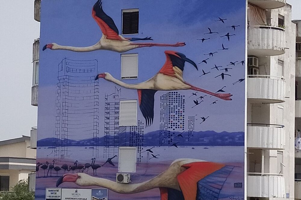 Mural sa motivom flamigosa u Ulcinju, Foto: Samir Adrović