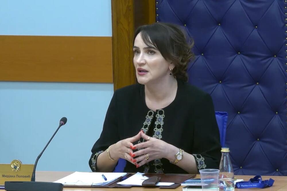 Ustavna žalba više nije djelotvoran pravni lijek: Mirjana Popović, Foto: YouTube