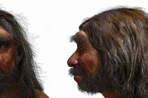 Otkrivena drevna lobanja: Da li je "zmajoliki čovjek" jedan od...