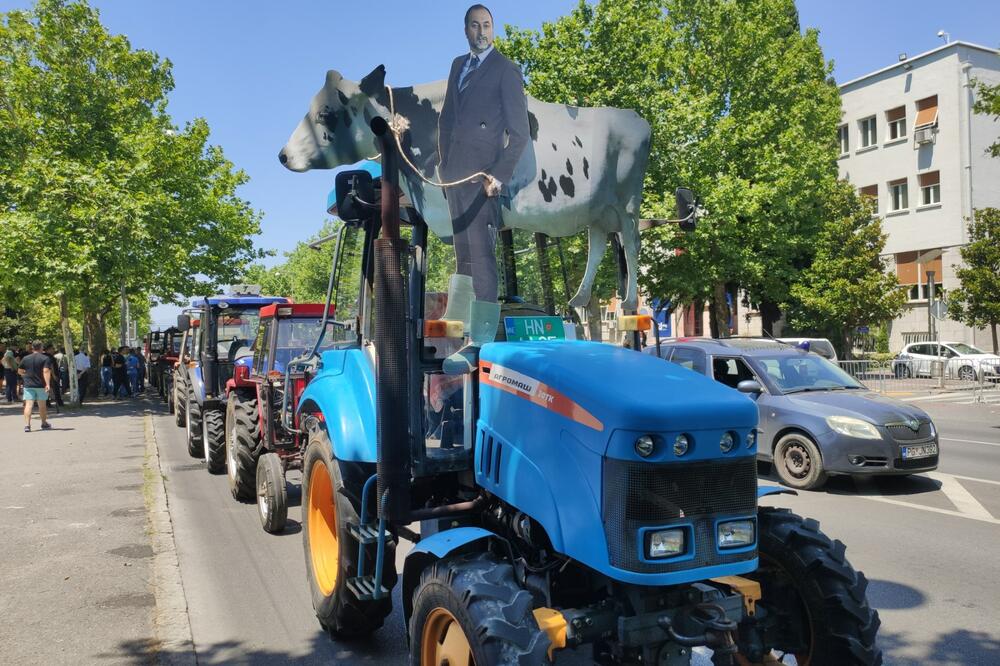 Poljoprivrednici i stočari ispred zgrade Skupštine, Foto: Savo Prelević