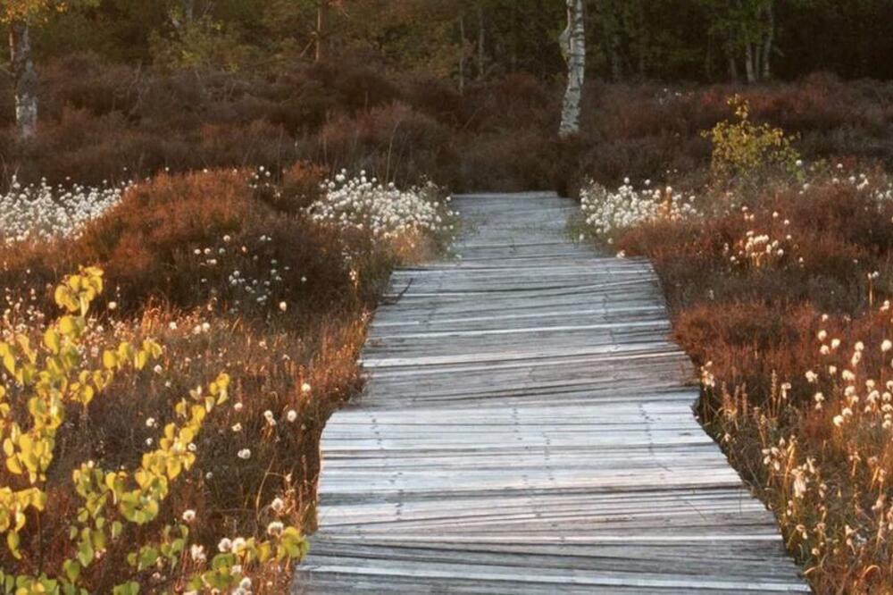 Foto: Tina Claffey Photography