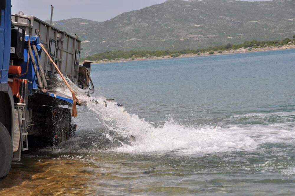 Poribljena jezera, Foto: Svetlana Mandić