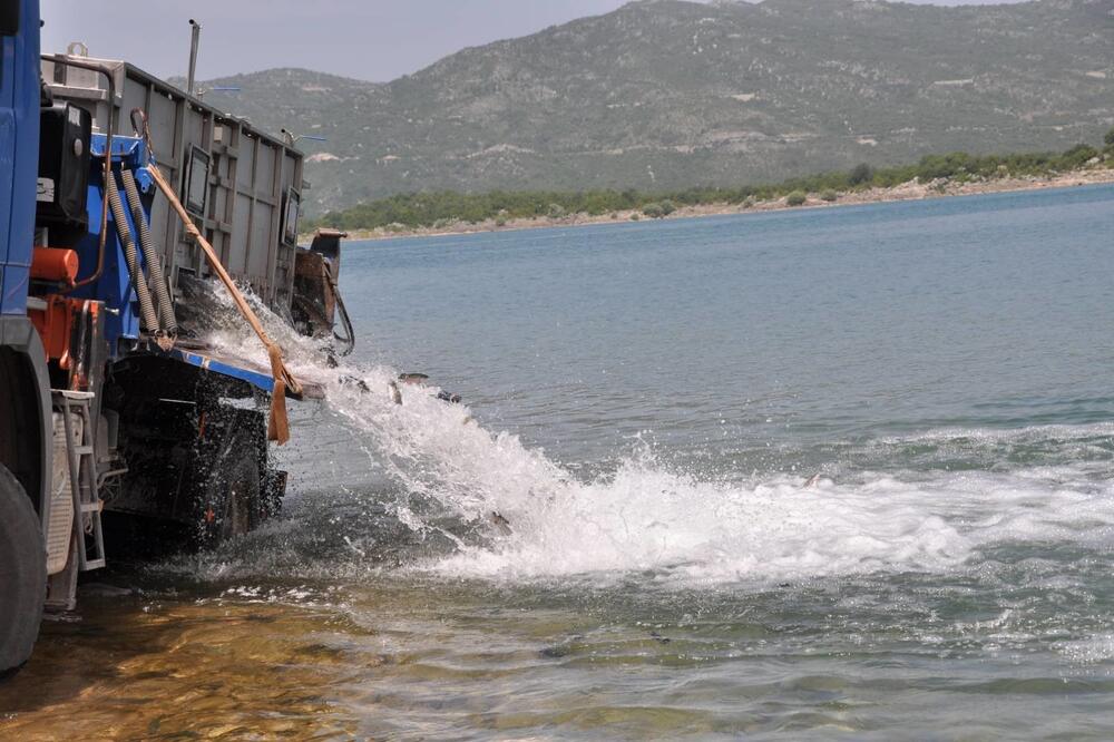 Foto: Privatna arhiva