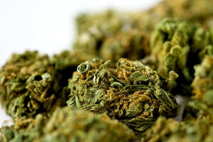 U rezervoaru krila marihuanu