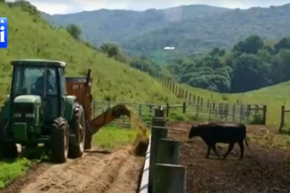 Foto: Printscreen YouTube