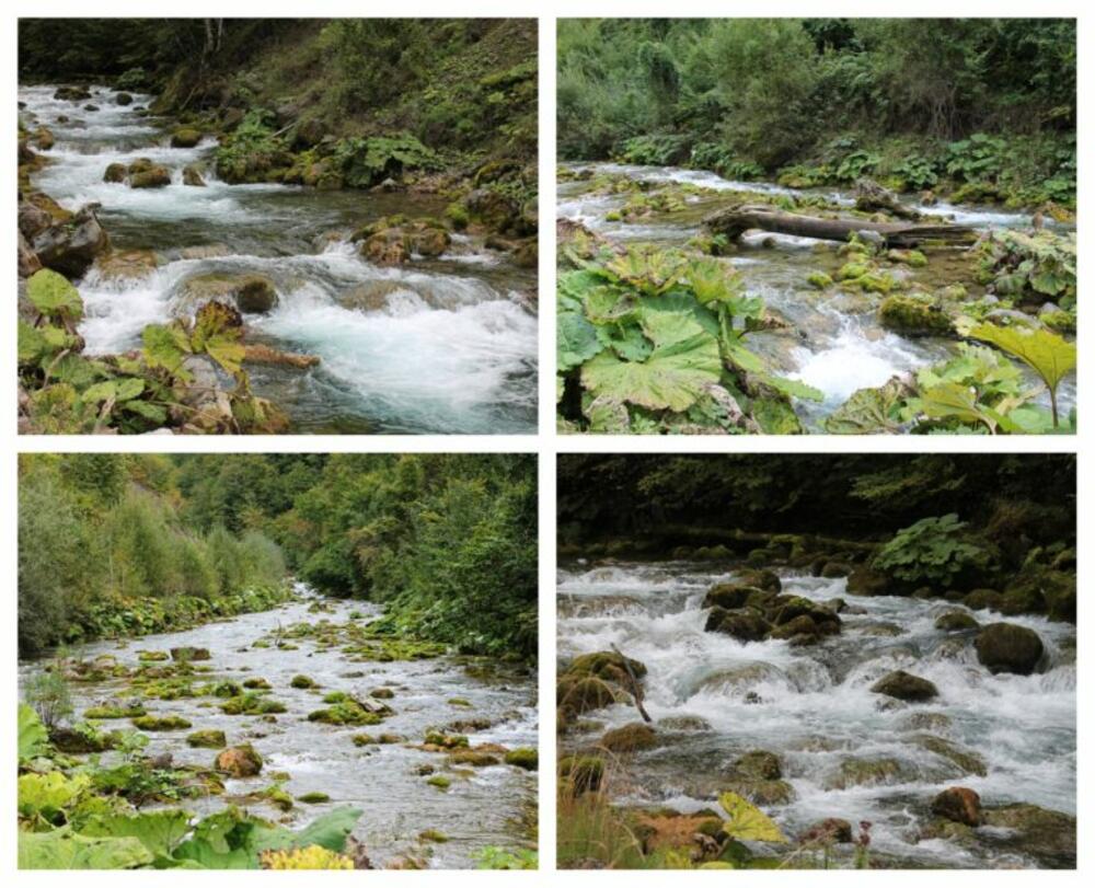 rijeka Bistrica putovanja